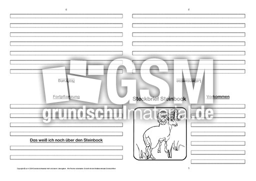 Steinbock-Faltbuch-vierseitig.pdf